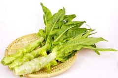 窩筍-挑選-價格-菜譜--廣州天天生鮮蔬菜配送公司