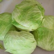 扁包菜-挑選-價格-菜譜--廣州天天生鮮蔬菜配送公司