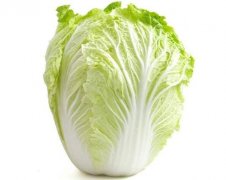 大白菜-挑選-價格-菜譜--廣州天天生鮮蔬菜配送公司